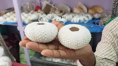“हस्तशिल्प सिर्फ कला नहीं, जीवन का अनुभव है।”