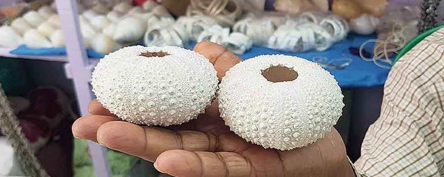 हस्तशिल्प मेला उज्जैन